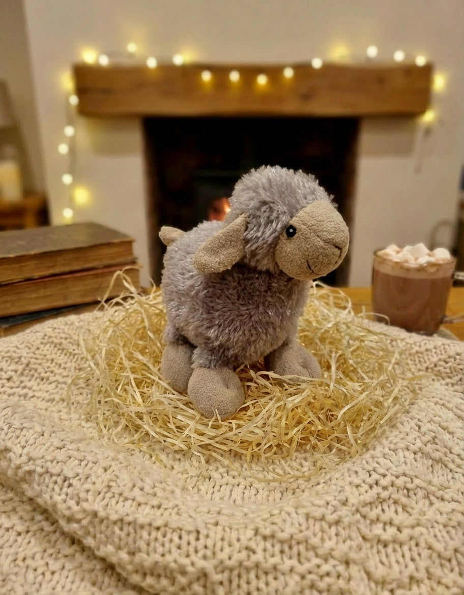 The Teddy Treat Trio Bundle