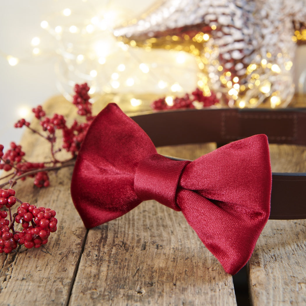 Christmas Dog Bow Tie From Sweet William
