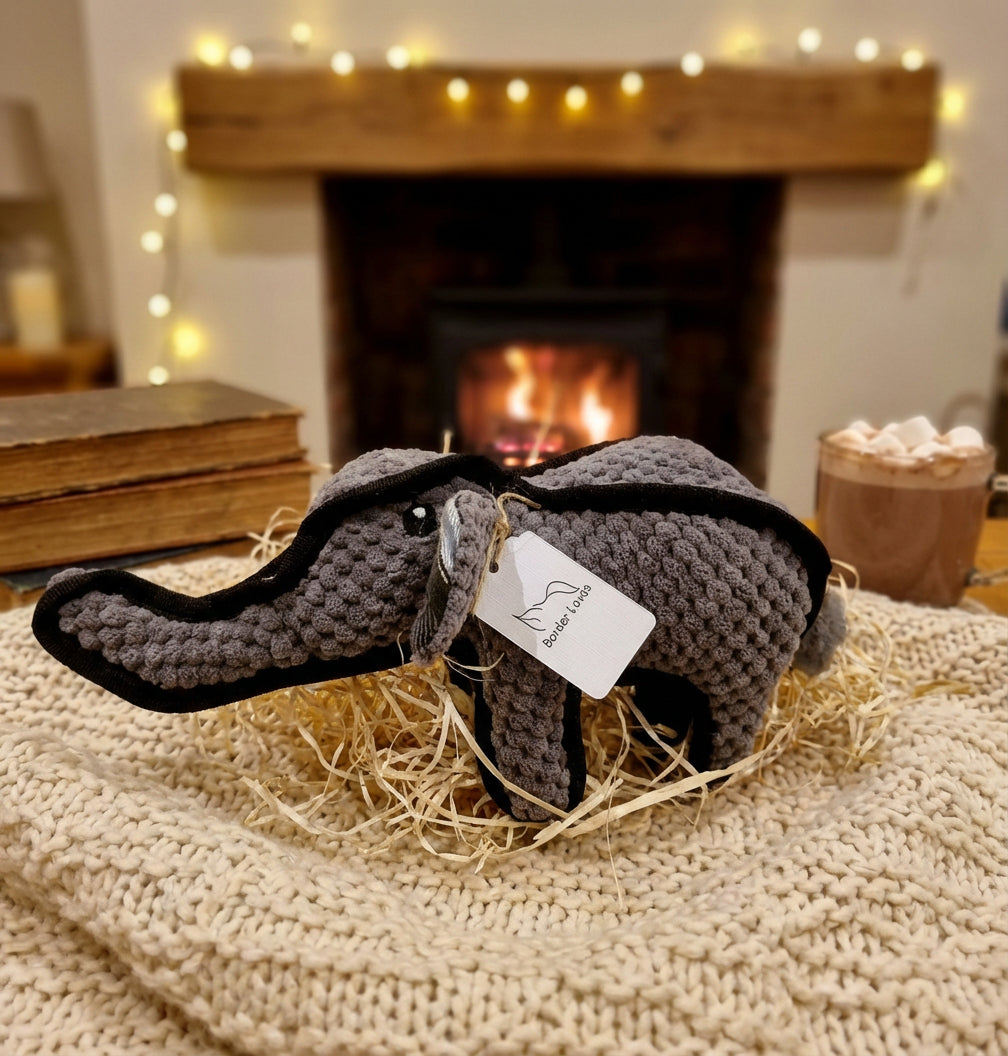 The Chew & Chomp Bundle